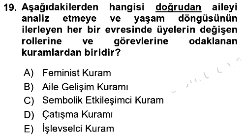 Aile Sosyolojisi 2021-2022 Ara Sınav - 19. soru