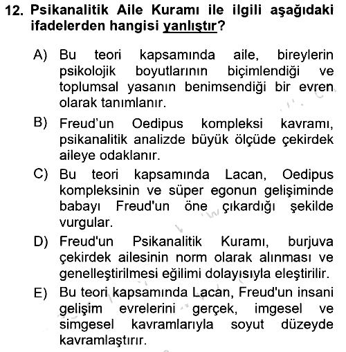 Aile Sosyolojisi 2024-2025 Ara Sınav - 12. soru