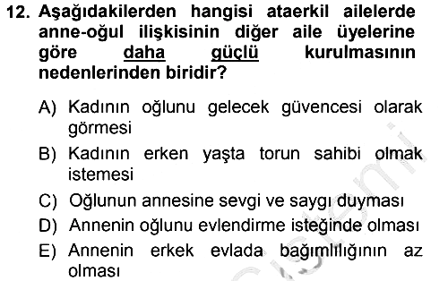 Aile Sosyolojisi 2014-2015 Dönem Sonu Sınavı - 12. soru