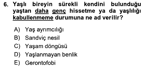 Aile Sosyolojisi 2018-2019 Dönem Sonu Sınavı - 6. soru