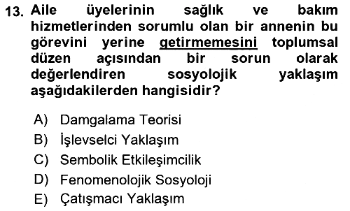 Aile Sosyolojisi 2018-2019 Dönem Sonu Sınavı - 13. soru