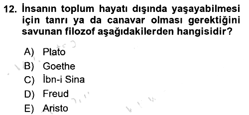 Aile Sosyolojisi 2019-2020 Dönem Sonu Sınavı - 12. soru