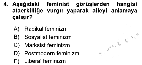 Aile Sosyolojisi 2018-2019 Yaz Okulu Sınavı - 4. soru