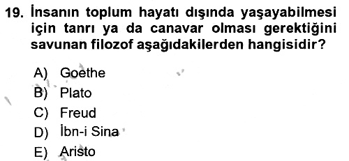 Aile Sosyolojisi 2018-2019 Yaz Okulu Sınavı - 19. soru