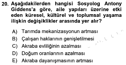 Aile Sosyolojisi 2021-2022 Yaz Okulu Sınavı - 20. soru
