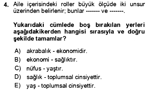 Aile Sosyolojisi 2023-2024 Yaz Okulu Sınavı - 4. soru