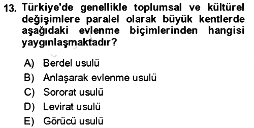 Aile Sosyolojisi 2023-2024 Yaz Okulu Sınavı - 13. soru