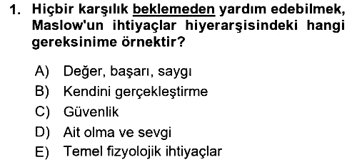 Birey ve Davranış 2018-2019 3 Ders Sınavı - 1. soru