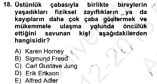 Birey ve Davranış 2012-2013 Ara Sınav - 18. soru