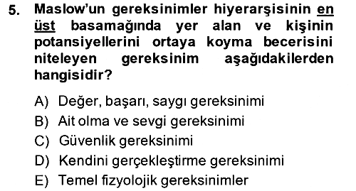 Birey ve Davranış 2014-2015 Ara Sınav - 5. soru