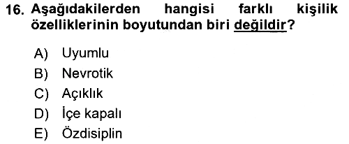 Birey ve Davranış 2015-2016 Ara Sınav - 16. soru
