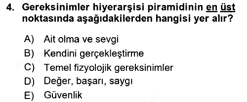 Birey ve Davranış 2017-2018 Ara Sınav - 4. soru