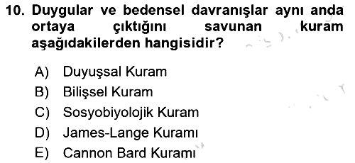 Birey ve Davranış 2024-2025 Ara Sınav - 10. soru