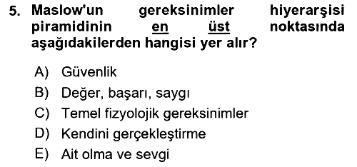 Birey ve Davranış 2025-2026 Ara Sınav - 5. soru