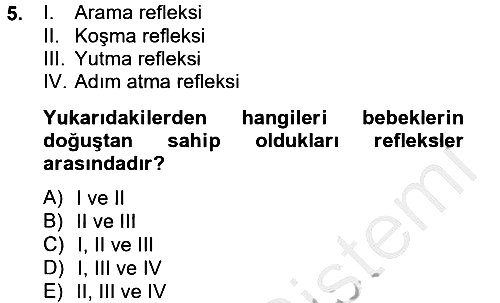 Birey ve Davranış 2012-2013 Dönem Sonu Sınavı - 5. soru