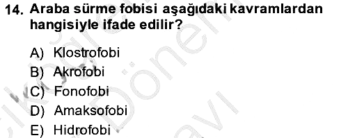 Birey ve Davranış 2013-2014 Dönem Sonu Sınavı - 14. soru