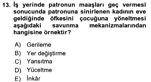 Birey ve Davranış 2016-2017 Dönem Sonu Sınavı - 13. soru