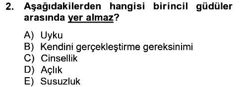 Birey ve Davranış 2014-2015 Tek Ders Sınavı - 2. soru