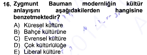 Çağdaş Sosyoloji Kuramları 2014-2015 Ara Sınav - 16. soru