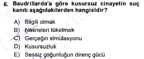 Çağdaş Sosyoloji Kuramları 2015-2016 Dönem Sonu Sınavı - 6. soru