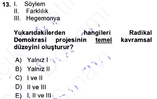 Çağdaş Sosyoloji Kuramları 2015-2016 Dönem Sonu Sınavı - 13. soru