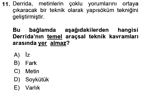 Çağdaş Sosyoloji Kuramları 2016-2017 Dönem Sonu Sınavı - 11. soru