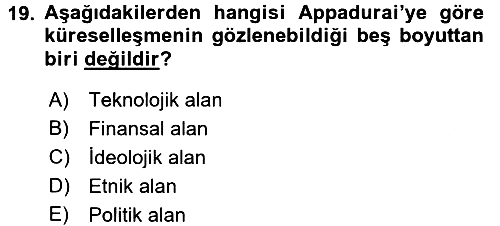 Çağdaş Sosyoloji Kuramları 2017-2018 Dönem Sonu Sınavı - 19. soru