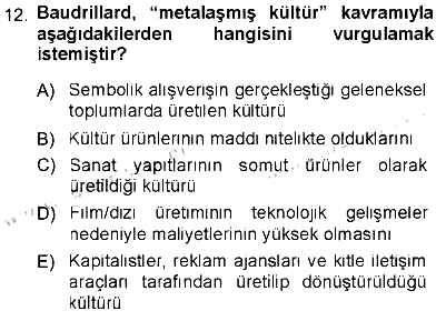 Çağdaş Sosyoloji Kuramları 2012-2013 Tek Ders Sınavı - 12. soru