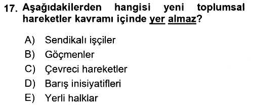 Çağdaş Sosyoloji Kuramları 2022-2023 Yaz Okulu Sınavı - 17. soru