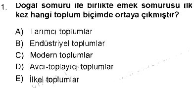 Çevre Sosyolojisi 2012-2013 Tek Ders Sınavı - 1. soru