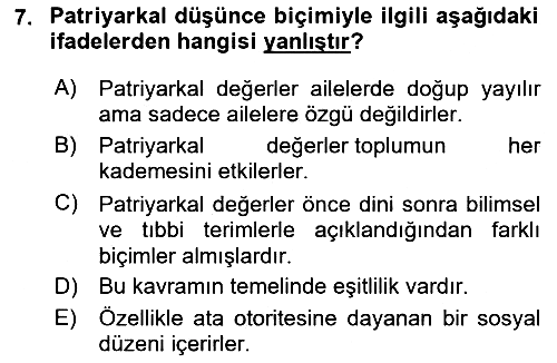Çocukluk Sosyolojisi 2021-2022 Ara Sınav - 7. soru