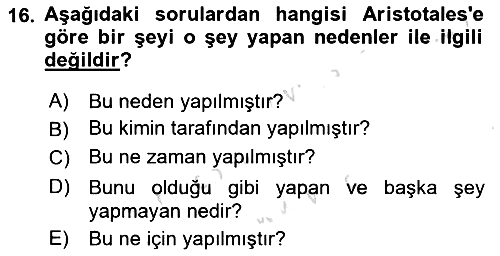 Çocukluk Sosyolojisi 2021-2022 Ara Sınav - 16. soru