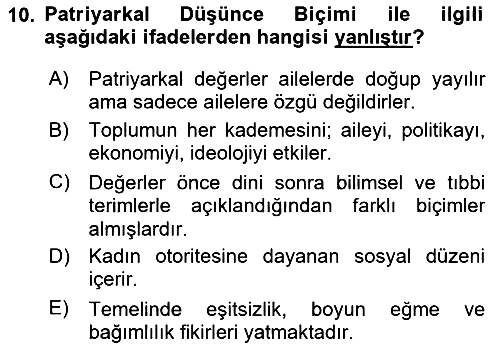 Çocukluk Sosyolojisi 2024-2025 Ara Sınav - 10. soru