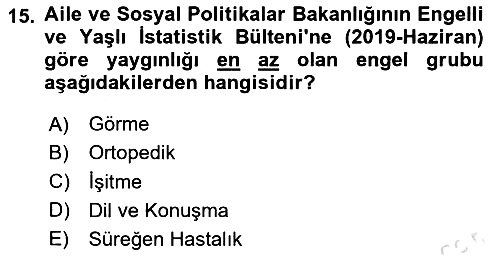 Çocukluk Sosyolojisi 2022-2023 Yaz Okulu Sınavı - 15. soru