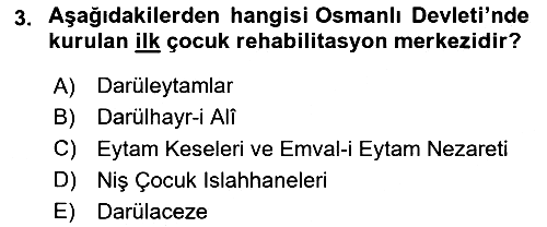 Çocukluk Sosyolojisi 2024-2025 Yaz Okulu Sınavı - 3. soru