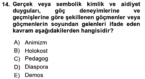 Çocukluk Sosyolojisi 2024-2025 Yaz Okulu Sınavı - 14. soru