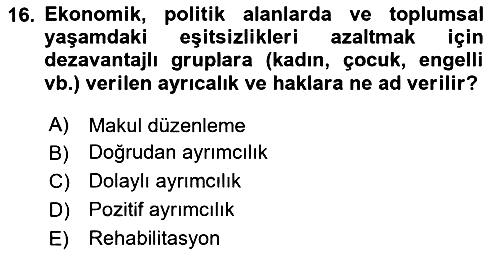 Çocukluk Sosyolojisi 2024-2025 Yaz Okulu Sınavı - 16. soru