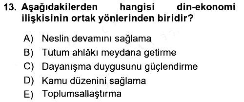 Din ve Toplum 2018-2019 Ara Sınav - 13. soru