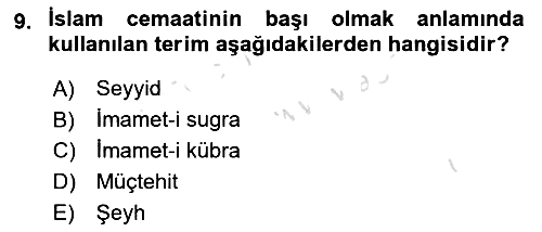 Din ve Toplum 2024-2025 Yaz Okulu Sınavı - 9. soru