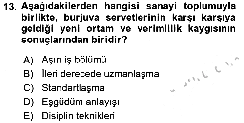 Ekonomi Sosyolojisi 2016-2017 3 Ders Sınavı - 13. soru