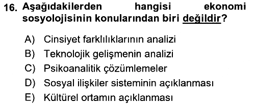 Ekonomi Sosyolojisi 2016-2017 3 Ders Sınavı - 16. soru