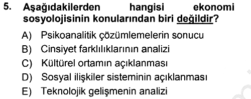 Ekonomi Sosyolojisi 2012-2013 Ara Sınav - 5. soru