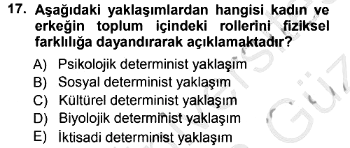 Ekonomi Sosyolojisi 2012-2013 Ara Sınav - 17. soru