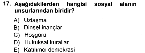 Ekonomi Sosyolojisi 2014-2015 Ara Sınav - 17. soru
