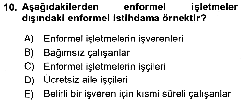 Ekonomi Sosyolojisi 2018-2019 Ara Sınav - 10. soru