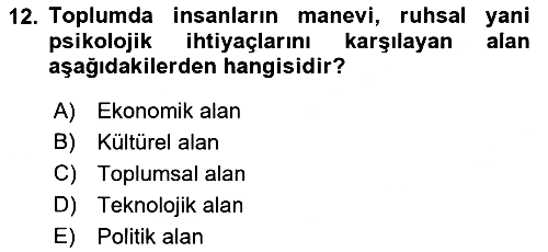 Ekonomi Sosyolojisi 2018-2019 Ara Sınav - 12. soru