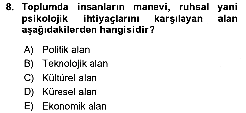 Ekonomi Sosyolojisi 2024-2025 Ara Sınav - 8. soru
