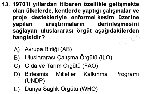 Ekonomi Sosyolojisi 2024-2025 Ara Sınav - 13. soru