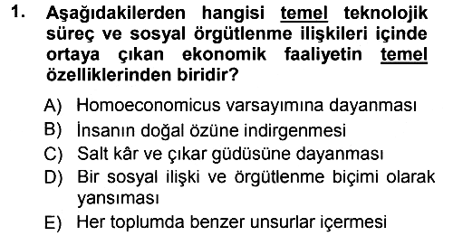 Ekonomi Sosyolojisi 2012-2013 Dönem Sonu Sınavı - 1. soru
