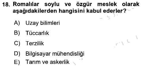 Ekonomi Sosyolojisi 2023-2024 Dönem Sonu Sınavı - 18. soru